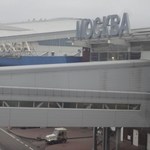 DSC05185.jpg